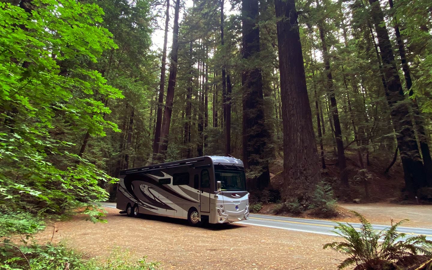 RV on the side of a wooded road