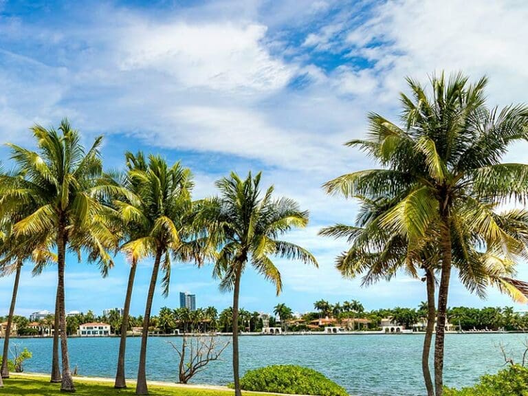 Palm trees in the foreground, ocean water and residences in the background