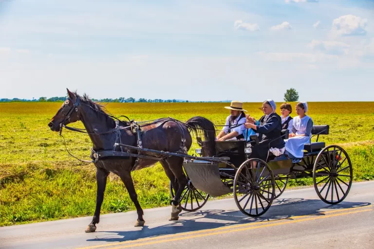 Amish Family in Horse and Buggy