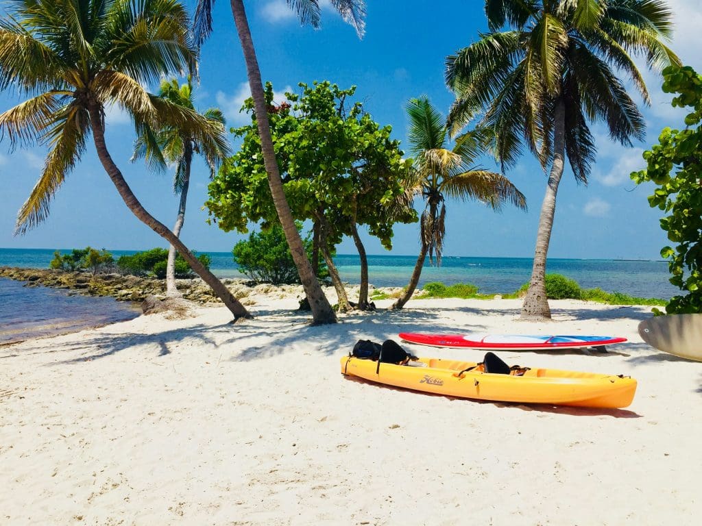 A kayak and surfboard sitting on a sandy beach in Key West, FL